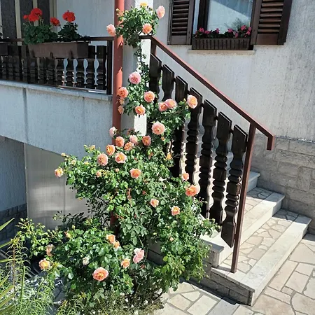 公寓 佩里奇公寓酒店